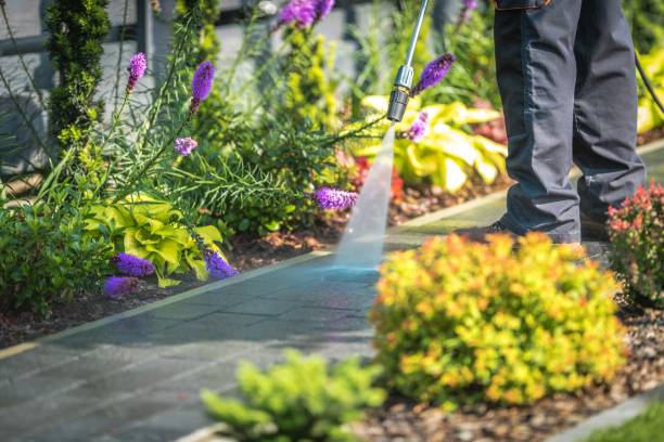 Best Fence Cleaning and Maintenance in Norlina, NC