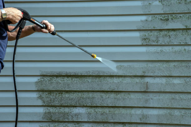Best Window and Screen Pressure Cleaning in Norlina, NC